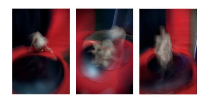 triptico EXPO caracas