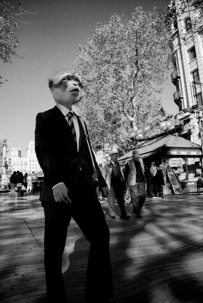 Barzoolona de  Xavier Alabart