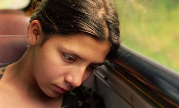 solo-el-viento_84691